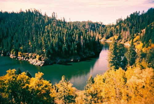 A serene lake surrounded by lush green trees and autumn foliage under a clear blue sky.