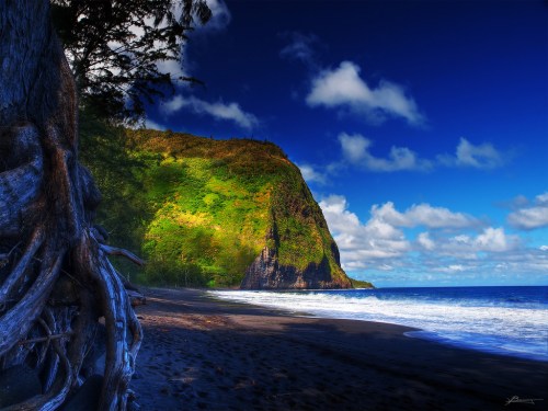 A scenic view of a black sand beach with lush green cliffs under a bright blue sky and fluffy white clouds.