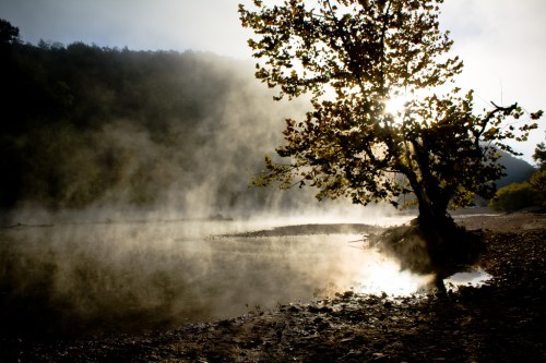 A misty landscape at dawn with a silhouetted tree by a calm river, sunlight filtering through the fog.