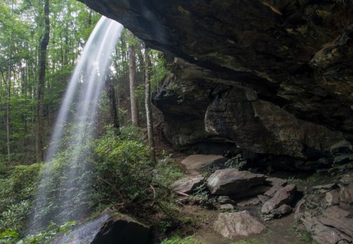 A waterfall cascades from a rocky overhang into a lush, green forest with trees and boulders.