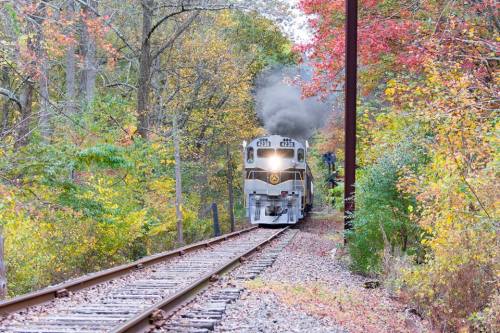 A vintage train emits smoke while traveling along a tree-lined track in autumn, surrounded by colorful foliage.