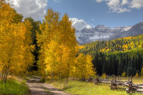 A scenic path lined with vibrant yellow trees, leading to mountains under a blue sky with fluffy clouds.