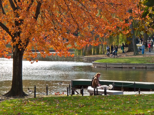 A serene park scene with autumn leaves, a person sitting by a lake, and people walking in the background.