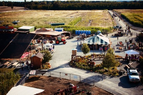 Aerial view of a vibrant farm with tents, food trucks, and visitors enjoying a sunny day among fields and attractions.