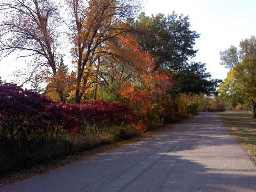 A scenic pathway lined with trees displaying vibrant autumn foliage in shades of red, orange, and yellow.