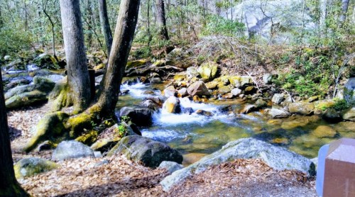 A serene forest scene with a flowing stream, surrounded by rocks and trees, and dappled sunlight filtering through leaves.
