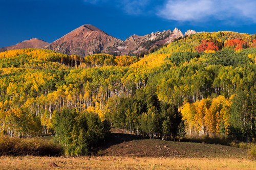 Vibrant autumn foliage covers rolling hills, with mountains in the background under a clear blue sky.
