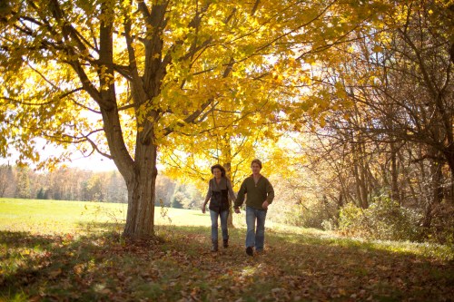A couple walks hand in hand along a path under a vibrant yellow tree in a sunlit autumn landscape.