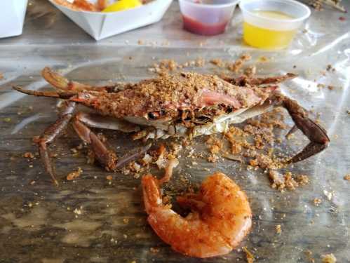 A seasoned crab with breadcrumbs sits on a table next to a cooked shrimp and small cups of sauce.