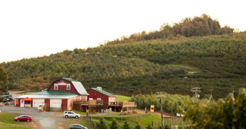 A red barn with a green roof surrounded by trees and hills, with cars parked nearby on a gravel lot.