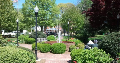 A peaceful park scene featuring a fountain surrounded by lush greenery and benches, with trees and buildings in the background.