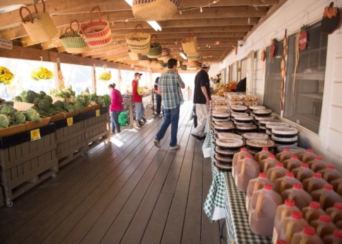 A bustling market with fresh produce, baked goods, and shoppers browsing under a wooden shelter.