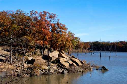 A serene lakeside scene with autumn trees, rocky shore, and bare tree trunks rising from the water under a clear blue sky.