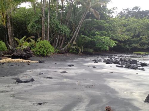 A serene beach scene with black sand, scattered rocks, and lush greenery in the background.
