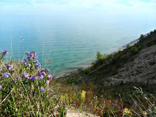 A serene view of a calm lake with a sandy shore, framed by colorful wildflowers and green vegetation.