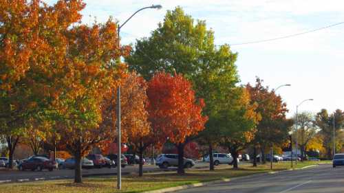 Colorful autumn trees line a street, showcasing vibrant red, orange, and green leaves under a clear sky.