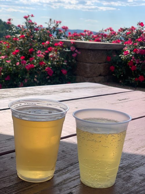 Two clear plastic cups on a wooden table, one with a light yellow drink and the other with a bubbly beverage, surrounded by flowers.