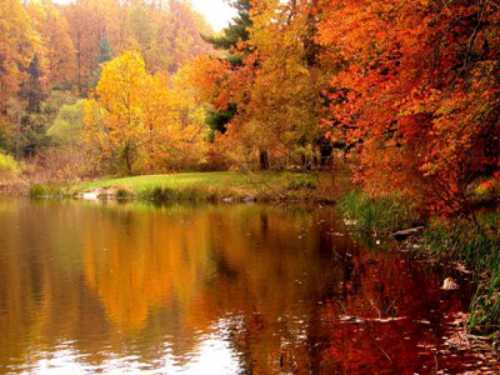 A serene lake surrounded by vibrant autumn foliage reflecting in the water.