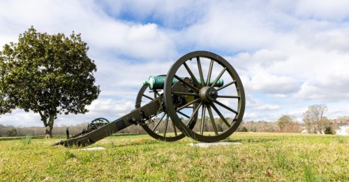 A historic cannon on a grassy field, with a tree and cloudy sky in the background.