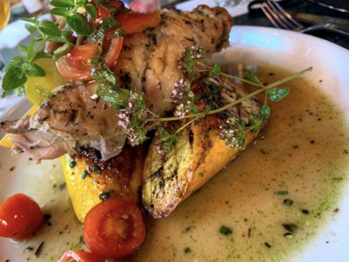 Grilled fish fillet topped with fresh herbs and tomatoes, served on a bed of grilled squash in a flavorful sauce.