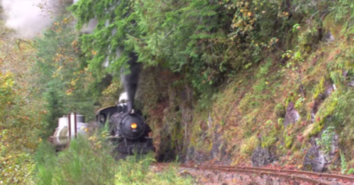 A vintage steam train travels along a narrow track beside a lush, green hillside with trees and foliage.
