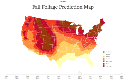 Map of the U.S. showing fall foliage predictions for 2018, with color-coded regions indicating peak times.