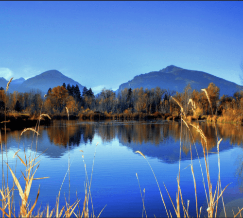 A serene lake reflects mountains and trees under a clear blue sky, framed by tall grasses in the foreground.
