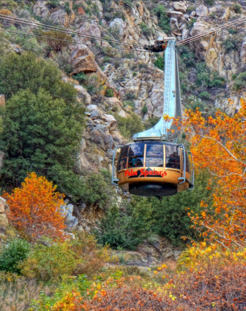 A cable car glides over rocky terrain, surrounded by autumn foliage in Palm Springs.