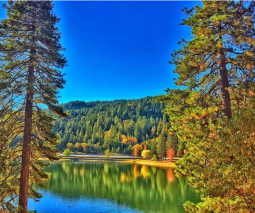 A serene lake surrounded by tall trees, reflecting vibrant autumn colors under a clear blue sky.