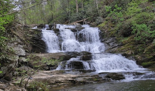 A serene waterfall cascading over rocky steps, surrounded by lush green foliage and trees.