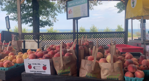 A display of bags filled with white peaches at a farm stand, with a scenic view of trees and water in the background.