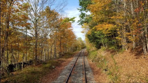 A scenic view of a railway track surrounded by trees with autumn foliage under a blue sky.
