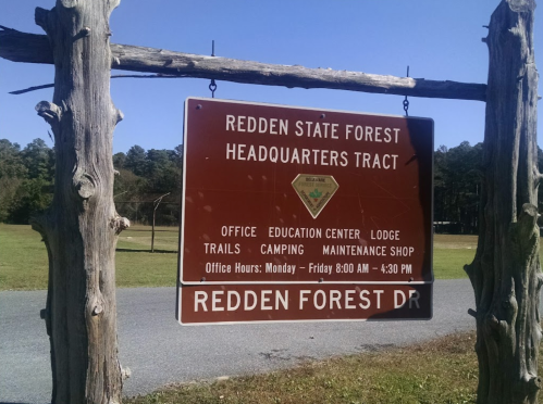 Sign for Redden State Forest Headquarters Tract, detailing office hours and available facilities like trails and camping.