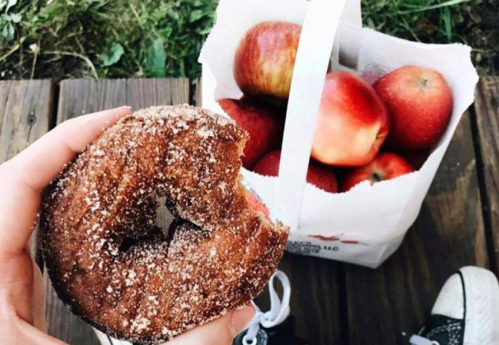 A hand holding a cinnamon sugar donut in front of a bag of fresh red apples on a wooden surface.