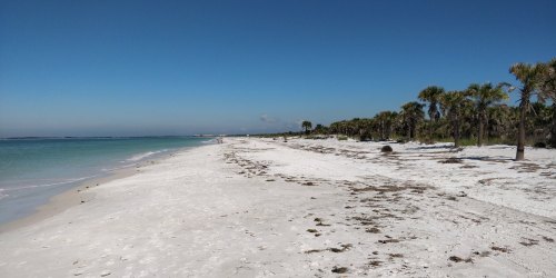 A serene beach with white sand, clear blue water, and palm trees under a bright blue sky.