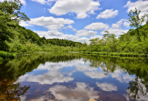 A serene river reflects fluffy clouds and lush greenery under a bright blue sky.