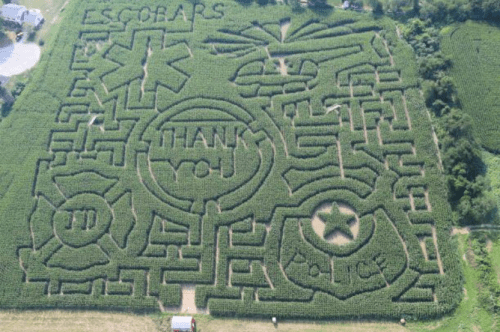 Aerial view of a corn maze featuring various symbols, including a star, police badge, and the word "Thank You."