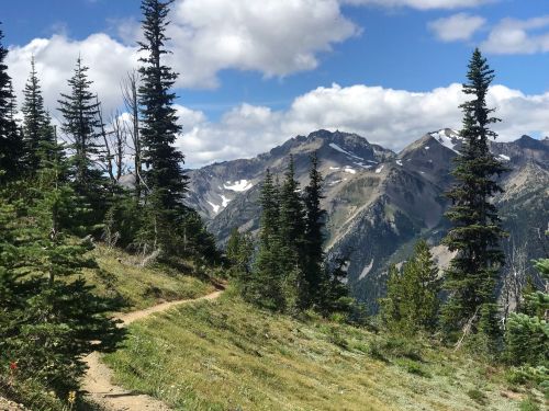 A winding trail through lush greenery, with tall trees and majestic mountains under a partly cloudy sky.