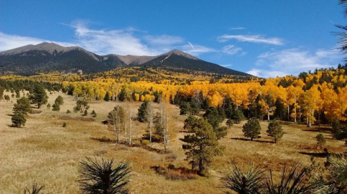 A scenic view of mountains with vibrant autumn foliage and a grassy meadow under a clear blue sky.
