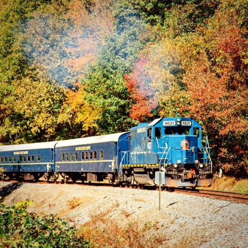 A blue train with passenger cars travels along a track surrounded by vibrant autumn foliage.