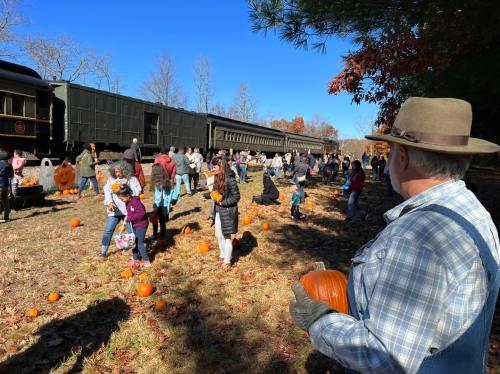 A crowd of people gathers outdoors, picking pumpkins near a train on a sunny day in autumn.