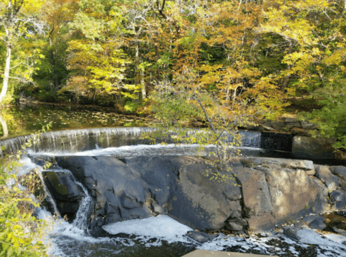 A serene waterfall cascades over rocks, surrounded by vibrant autumn foliage and a calm river.