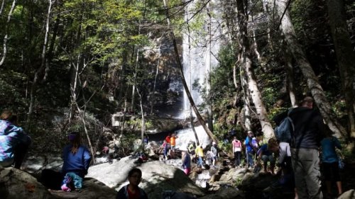 A group of people enjoying a waterfall in a forest, surrounded by trees and rocky terrain.