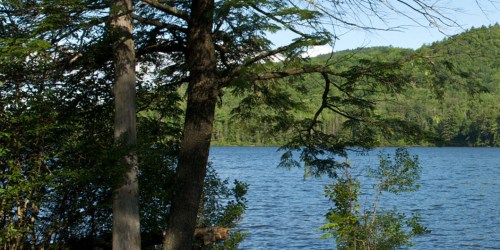 A serene lake surrounded by lush green trees and hills under a clear blue sky.
