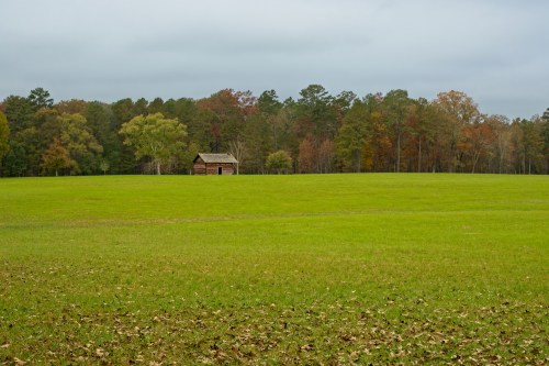A small wooden cabin sits in a vast green field, surrounded by trees with autumn foliage under a cloudy sky.