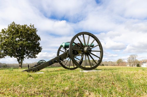 A historic cannon on a grassy field, with a tree and cloudy sky in the background.