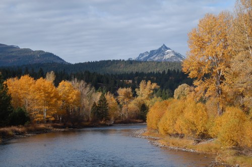 A serene river flows through a landscape of autumn trees, with mountains in the background under a cloudy sky.