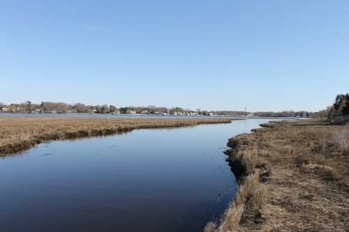 A serene landscape featuring a calm river winding through grassy marshlands under a clear blue sky.