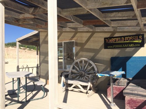 A wooden structure with a shaded porch, featuring tables and chairs, and a sign for Warfield Fossils.