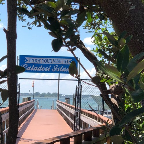 Sign for Caladesi Island framed by trees, with a wooden walkway leading to the water in the background.